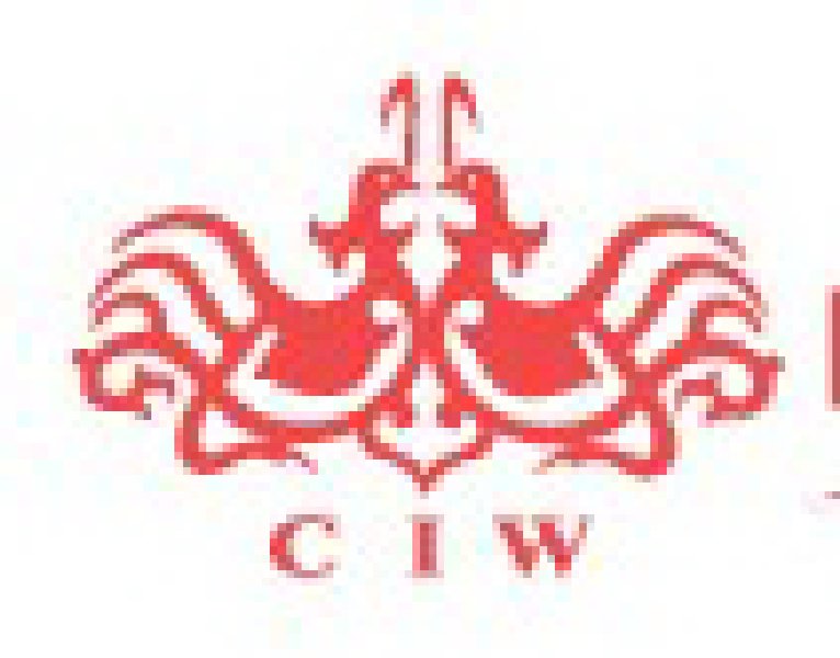 2010夏季中國(guó)(上海)婚博會(huì)