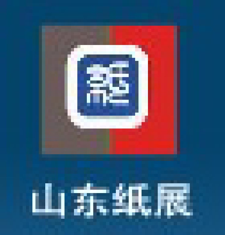 2012山東(國際)制漿造紙技術(shù)及裝備展覽會