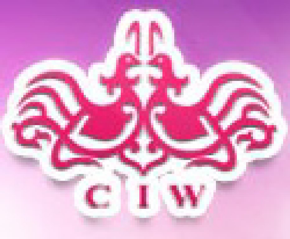 2012春季中國(guó)(上海)國(guó)際婚博會(huì)