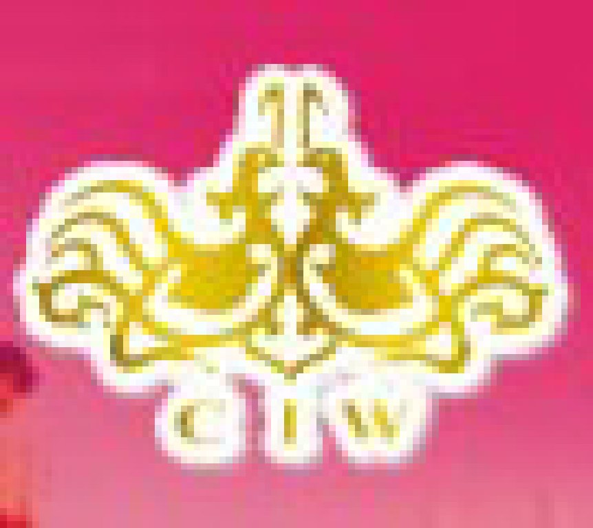 2011春季中國(guó)(上海)國(guó)際婚博會(huì)