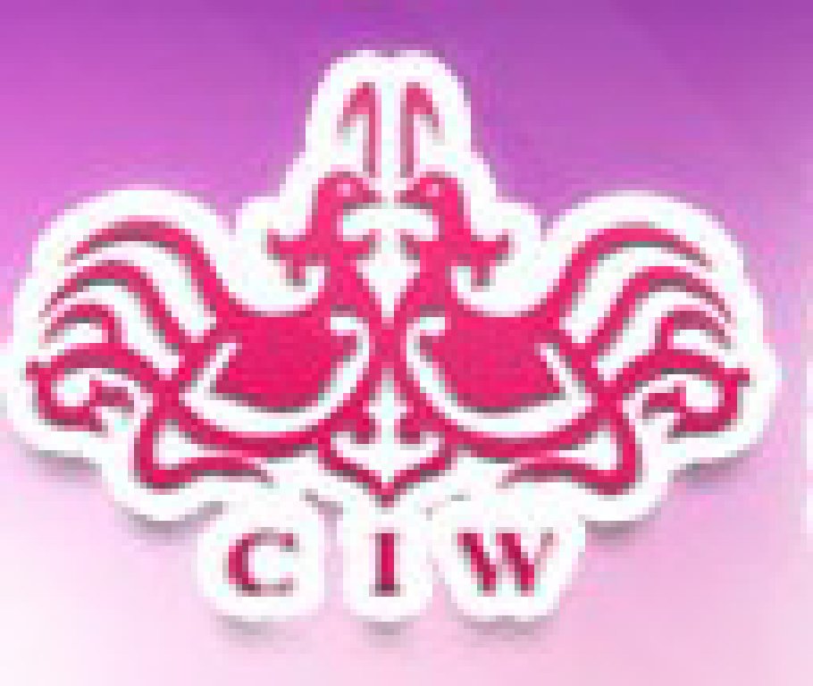 2011秋季中國(guó)(北京)婚博會(huì)